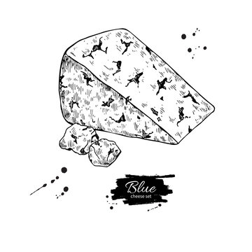 Blue cheese triangle drawing. Vector hand drawn food sketch. Engraved Slice