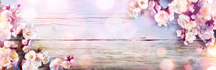 Rollo Frühlingsbanner - rosa Blüten auf Holzbrett © Romolo Tavani