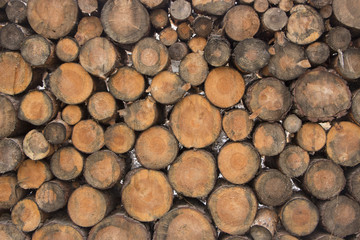 round timber texture background close up