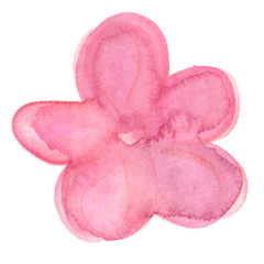 Simple abstract pastel pink cherry flower painted in watercolor on clean white background