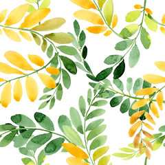 Autumn leaf of acacia pattern in a hand drawn watercolor style. Aquarelle acorn for background, texture, wrapper pattern, frame or border.