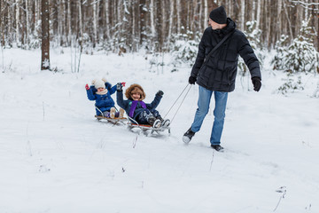Happy family rides the sledge in the winter wood or forest, cheerful entertainments, everything is covered with snow around. Father with small boy and girl in the park outdoors. parenthood concept