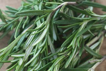 fresh rosemary twigs on wooden background