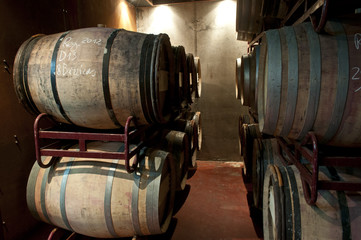 Bodega