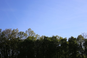 Obraz premium travel