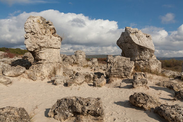 Fototapeta na wymiar Stone Forest near Varna, Bulgaria, Pobiti kamani, rock phenomenon