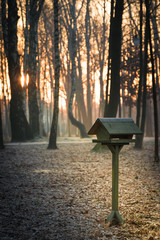 A wooden and frozen bird feeder in a park during an orange sunrise on a cold winter day - 189381795