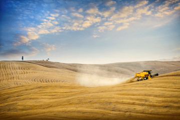 Val D'Arbia. Wheat harvest on the rolling Tuscan hills at sunset. Italy.