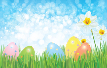 Vector Easter eggs in grass and daffodils, Easter background.