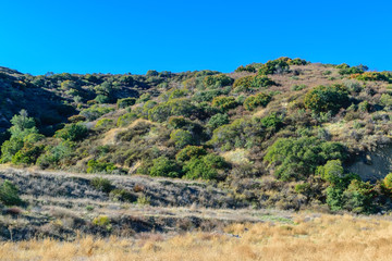 Fototapeta na wymiar Dry hills in California hiking area