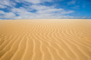 Fototapeta na wymiar Dunes in the desert of corralejo national park
