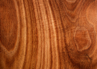 Naklejka premium wood background