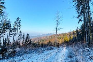 Winter landscape in the Tatras in the morning © velishchuk