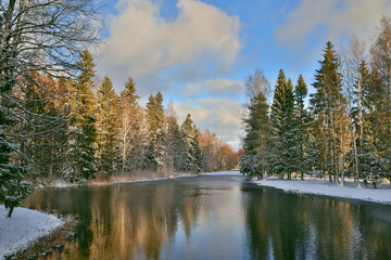 Winter forest White lake in Gatchina park surrounded by snowy fir and birch trees in sunny day with blue sky.