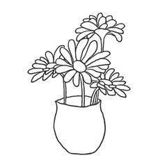 flowers in pots. Vector illustration