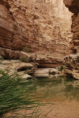 Wadi Shab, Oman