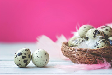 Obraz premium Quail eggs in nest with colorful feathers, on white wooden table against pink wall