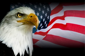 Poster Amerikaans symbool - Amerikaanse vlag met adelaar © denisapro