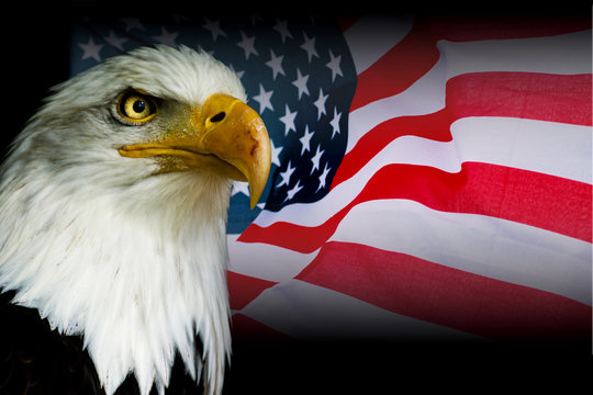 American symbol - USA flag with eagle