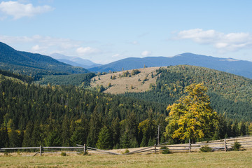 Peaceful autumn mountain landscape