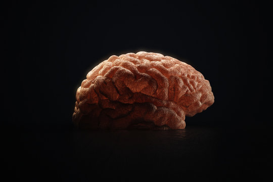 Photorealistic 3d render of a human brain on dark background. Medical 3d illustration.