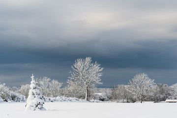 Winter landscape with dark sky