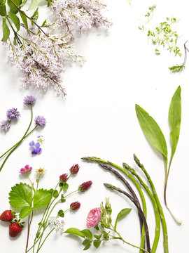 Close-up of variety of flowers on white background