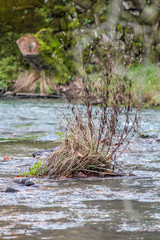 Vimieiro, Penacova, Coimbra, Portugal