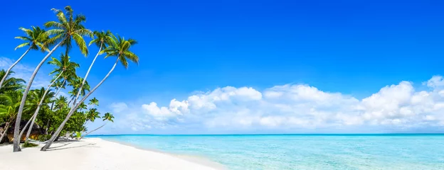 Wandaufkleber Bora Bora, Französisch-Polynesien Strand Panorama als Hintergrund für den Urlaub