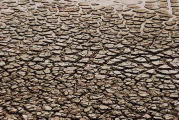 Texture di terra arida e spaccata 