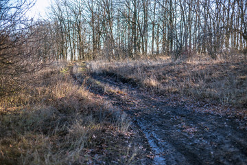 Dirty rural road with mud and water in autumn time.