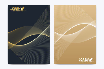 Modern vector template for brochure, leaflet, flyer, cover, catalog, magazine or annual report in A4 size. Business, science and technology design book layout. Presentation with golden waves.