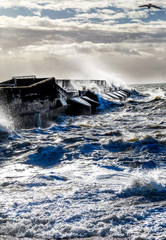 rough seas crashing against Brighton marina habour wall, a solitary seagull flying against the wind