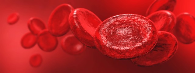 Erythrocytes, red blood cells - obrazy, fototapety, plakaty