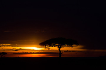 Obraz premium Sunset in Africa