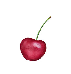 Hand drawn watercolor cherry painting. Dessert ingredient. One single object, isolate. Dark red, bright color. Symbol of beauty, volatility, transience, prosperity, nature, health, freshness.