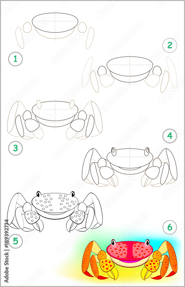 Wall mural page shows how to learn step by step to draw a little crab. developing children skills for drawing a