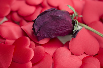 Decorative colourful sponge is small red heart background. Many colorful silk hearts - valentine background 