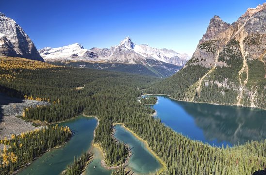 Panoramic Landscape View of Lake O’Hara and Distant Snowy Mountain Tops from Great Hiking Trail on Opabin Prospect in Yoho National Park, British Columbia Canada