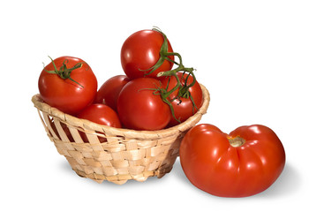 Fresh tomatoes on a light white background