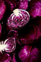 Fototapeta na wymiar Purple Cabbage