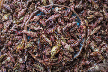 Chapulines or Cooked grasshoppers