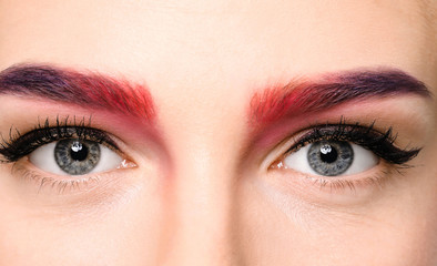 Obraz premium Młoda kobieta z farbowanymi brwiami na białym tle, zbliżenie