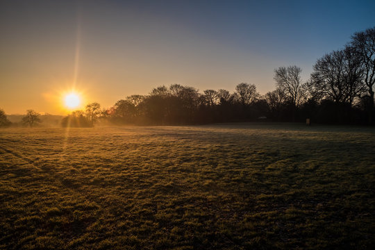 Sunrise in a foggy morning at Sandwell Valley Country Park