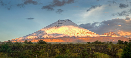 Cotopaxi volcano with sunset light shinning on it's slopes, and crops in the foreground, Ecuador. - obrazy, fototapety, plakaty