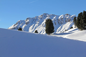la Viezzena; Val di Fiemme, Trentino