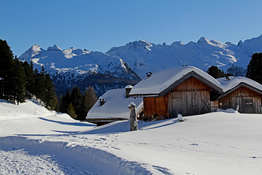 baite nella neve; sullo sfondo la catena del Lagorai; Val di Fiemme, Trentino