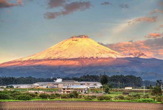 Cotopaxi volcano with sunset light shinning on it's slopes, and crops in the foreground, Ecuador.