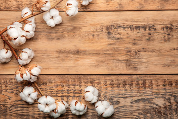Cotton flowers on wooden background