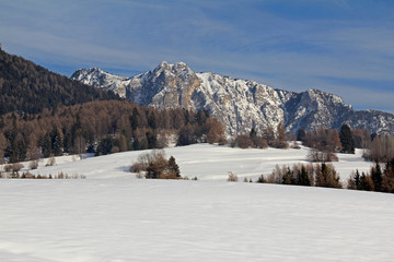 i Cornacci, piccolo gruppo dolomitico in Val di Fiemme; Trentino